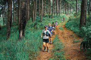 BIB: 
                            <button type="button" onclick="openModal(25663202)" class="btn btn-primary btn-sm float-right btn-popup" data-toggle="modal" data-target=".modal-high-quality">
                        <i class="fas fa-shopping-cart"></i> Add to Cart
                    </button>
                                            <button type="button" onclick="isThisMe(25663202, true)" class="btn btn-success btn-sm float-right btn-popup btn-isme hidden" data-toggle="tooltip" data-placement="bottom" title="นี่คือรูปของคุณใช่ไหม คลิกที่นี่เพื่อเอาเข้าอัลบั้ม">
                        <i class="fas fa-plus"></i> Add to album
                    </button>
                    <button type="button" onclick="isThisMe(25663202, false)" class="btn btn-warning btn-sm float-right btn-popup btn-isnotme hidden">
                        <i class="fas fa-ban"></i> Remove from album
                    </button>